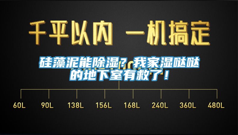 硅藻泥能除濕？我家濕噠噠的地下室有救了！