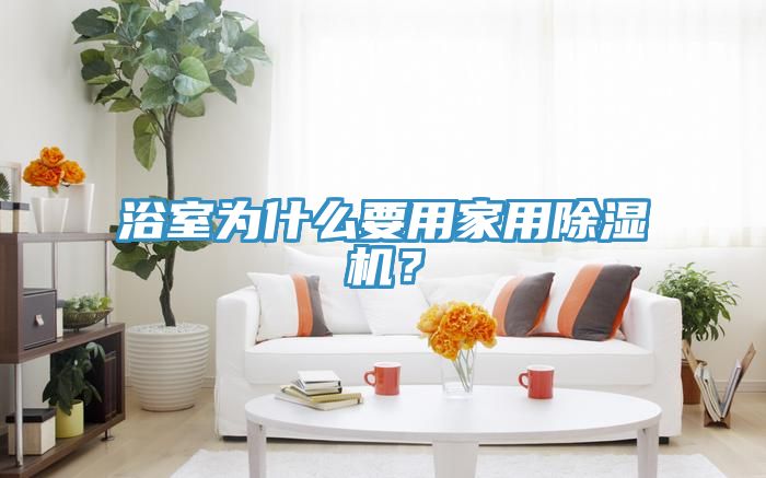 浴室為什么要用家用除濕機？