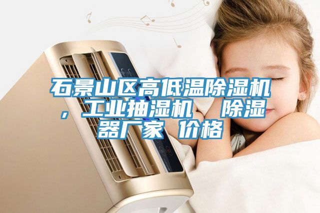 石景山區(qū)高低溫除濕機(jī)，工業(yè)抽濕機(jī)  除濕器廠家 價(jià)格