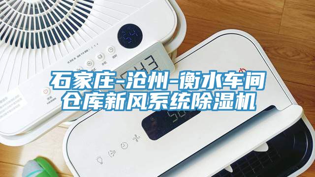 石家莊-滄州-衡水車間倉庫新風系統(tǒng)除濕機