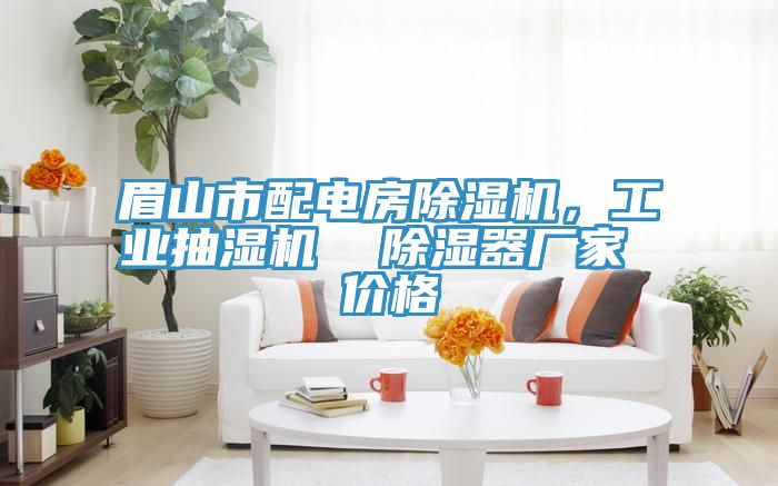 眉山市配電房除濕機，工業(yè)抽濕機  除濕器廠家 價格