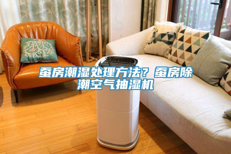 蠶房潮濕處理方法？蠶房除潮空氣抽濕機