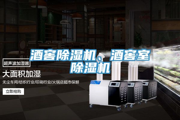 酒窖除濕機(jī)、酒窖室除濕機(jī)