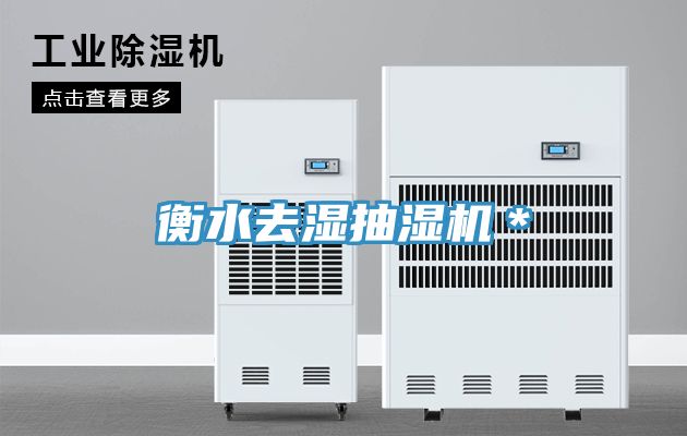 衡水去濕抽濕機＊
