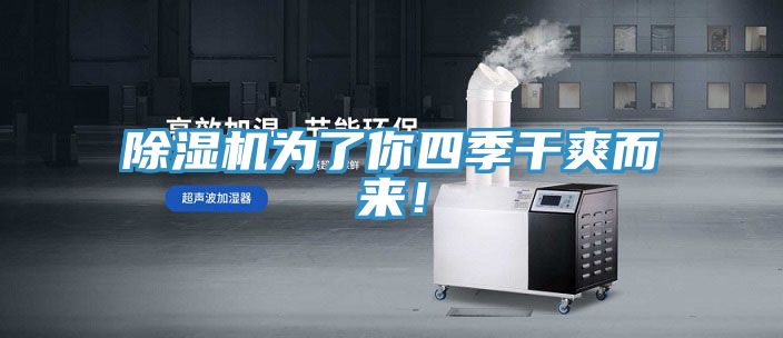 除濕機為了你四季干爽而來！