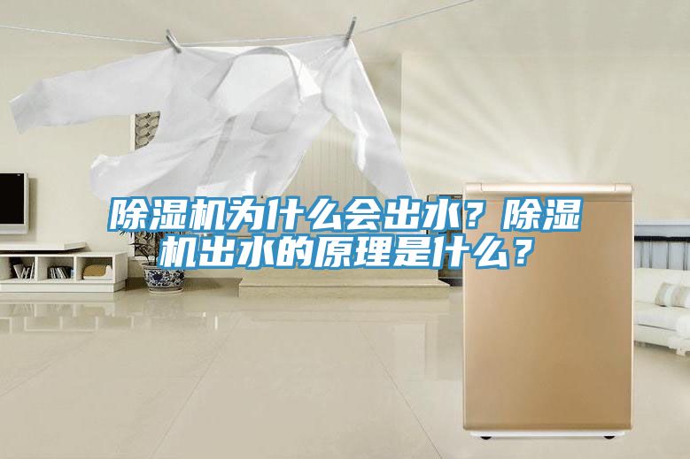 除濕機為什么會出水？除濕機出水的原理是什么？