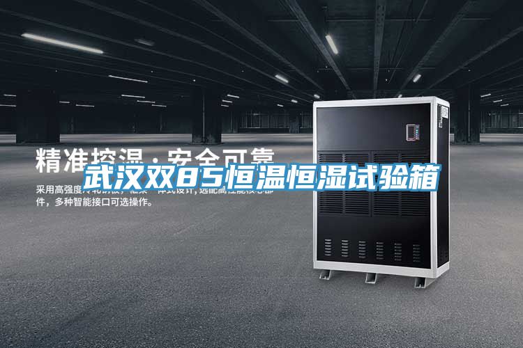 武漢雙85恒溫恒濕試驗(yàn)箱