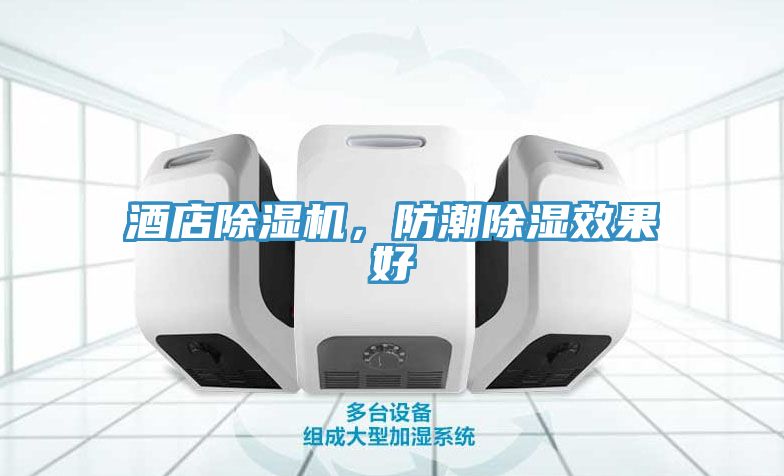酒店除濕機(jī)，防潮除濕效果好
