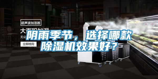 陰雨季節(jié)，選擇哪款除濕機(jī)效果好？