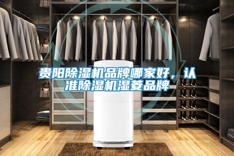 貴陽除濕機品牌哪家好，認(rèn)準(zhǔn)除濕機濕菱品牌