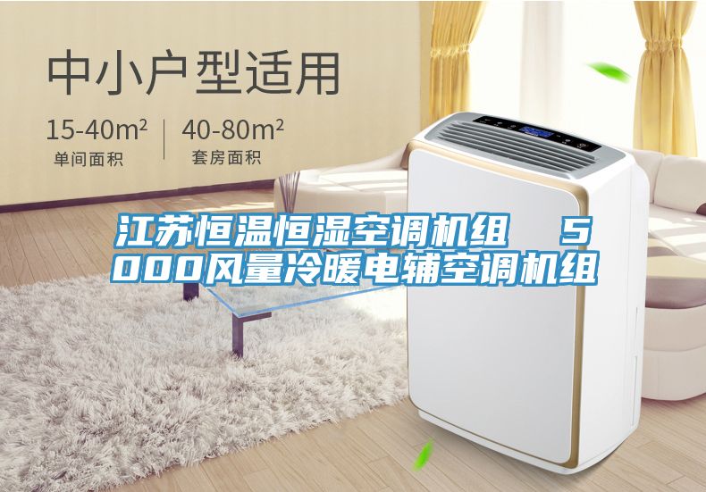 江蘇恒溫恒濕空調(diào)機(jī)組  5000風(fēng)量冷暖電輔空調(diào)機(jī)組