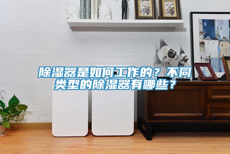 除濕器是如何工作的？不同類型的除濕器有哪些？