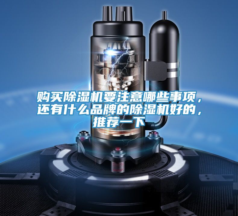 購買除濕機(jī)要注意哪些事項(xiàng)，還有什么品牌的除濕機(jī)好的，推薦一下