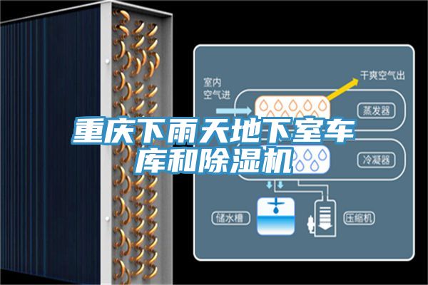 重慶下雨天地下室車(chē)庫(kù)和除濕機(jī)