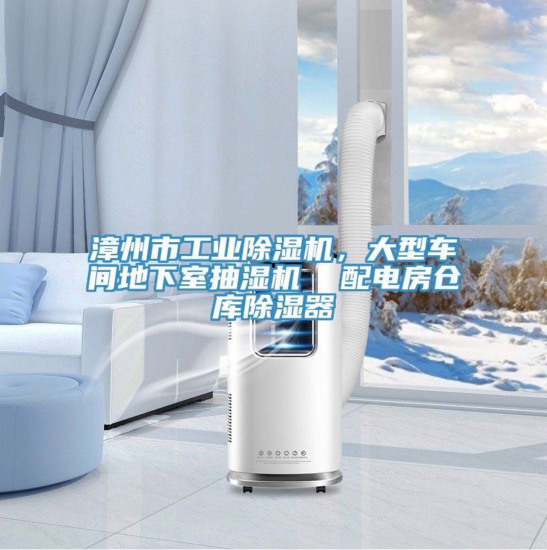 漳州市工業(yè)除濕機(jī)，大型車間地下室抽濕機(jī)  配電房倉庫除濕器