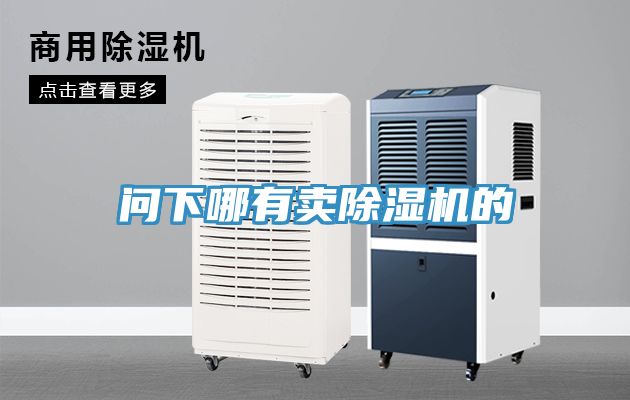 問(wèn)下哪有賣(mài)除濕機(jī)的