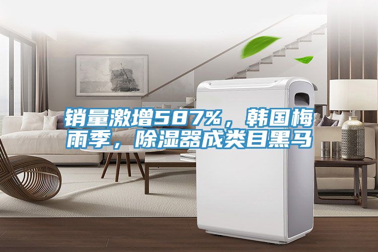 銷量激增587%，韓國(guó)梅雨季，除濕器成類目黑馬