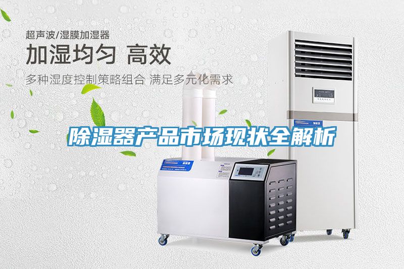 除濕器產品市場現狀全解析