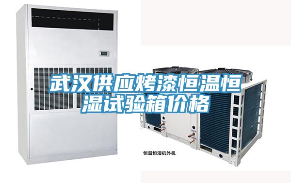 武漢供應(yīng)烤漆恒溫恒濕試驗(yàn)箱價(jià)格