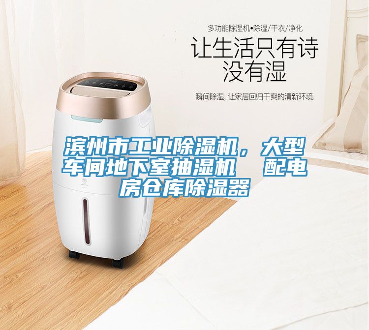 濱州市工業(yè)除濕機(jī)，大型車(chē)間地下室抽濕機(jī)  配電房倉(cāng)庫(kù)除濕器