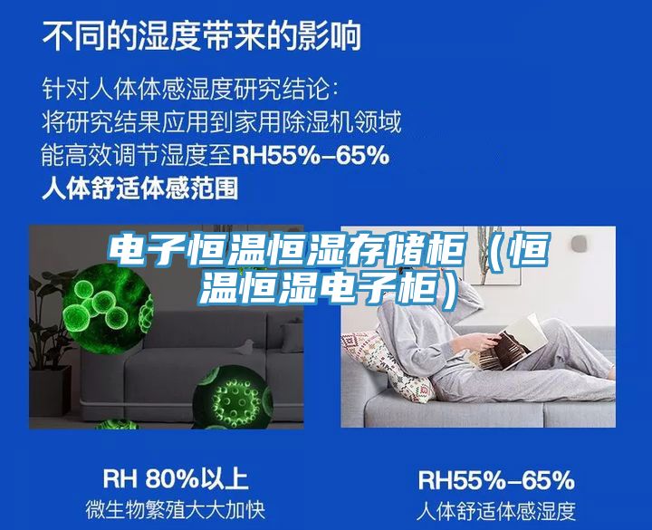 電子恒溫恒濕存儲(chǔ)柜（恒溫恒濕電子柜）