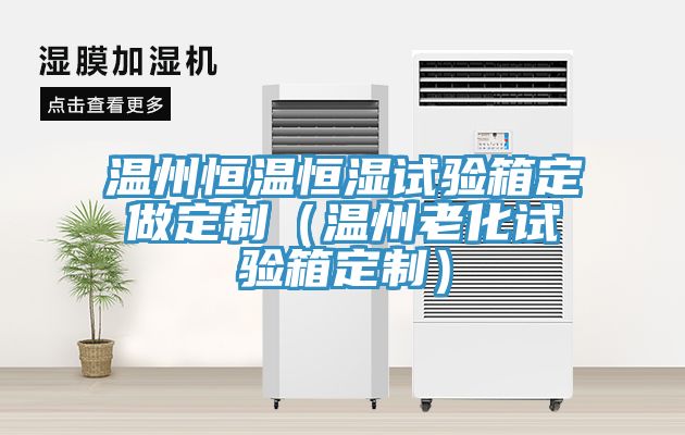 溫州恒溫恒濕試驗(yàn)箱定做定制（溫州老化試驗(yàn)箱定制）