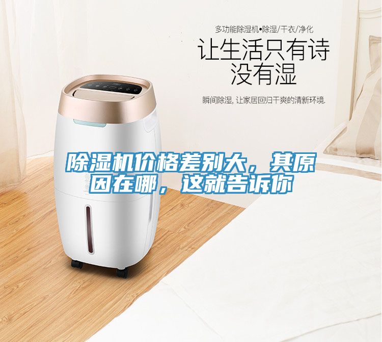 除濕機(jī)價(jià)格差別大，其原因在哪，這就告訴你