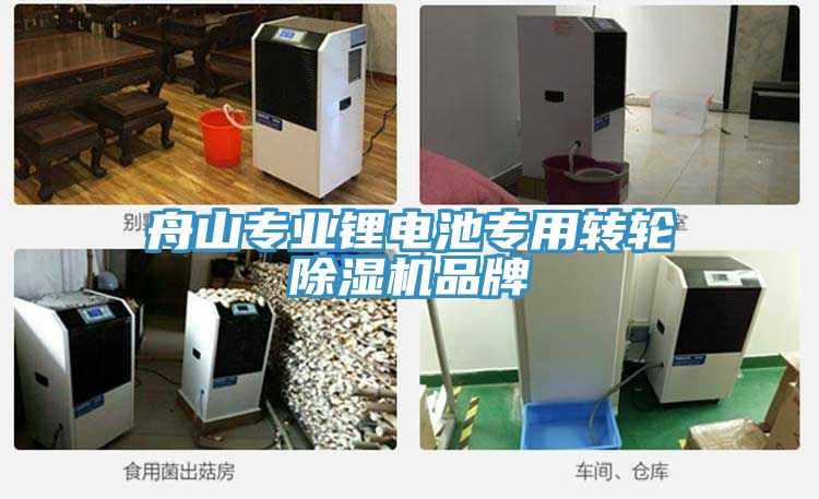 舟山專業(yè)鋰電池專用轉(zhuǎn)輪除濕機品牌