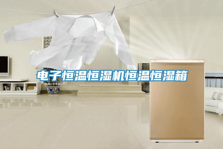 電子恒溫恒濕機(jī)恒溫恒濕箱