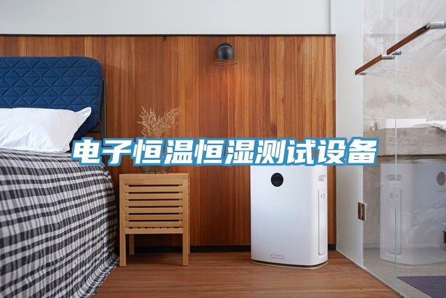 電子恒溫恒濕測(cè)試設(shè)備