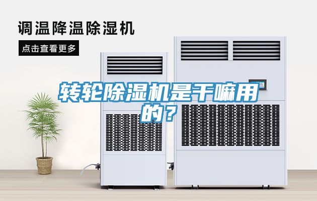轉(zhuǎn)輪除濕機(jī)是干嘛用的？