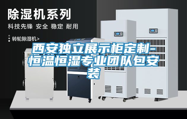 西安獨(dú)立展示柜定制-恒溫恒濕專業(yè)團(tuán)隊包安裝
