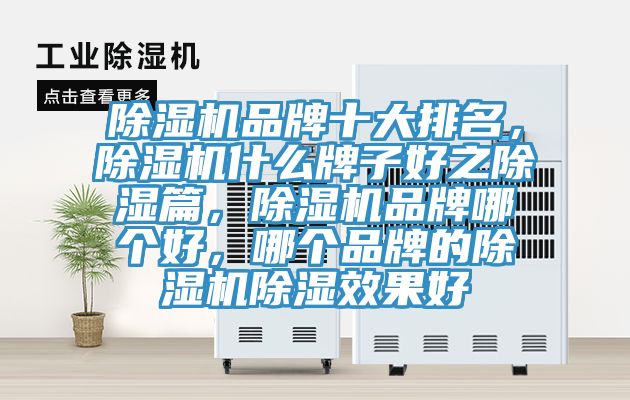 除濕機品牌十大排名，除濕機什么牌子好之除濕篇，除濕機品牌哪個好，哪個品牌的除濕機除濕效果好