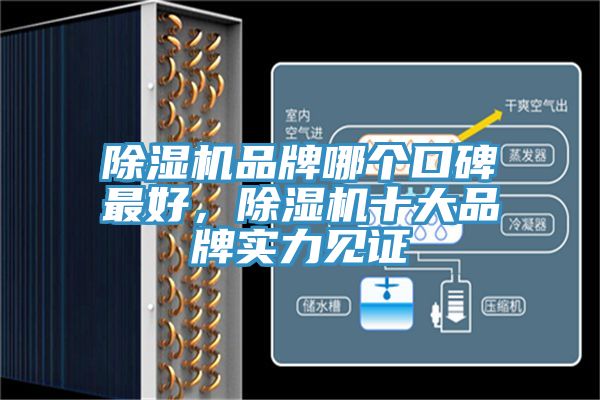 除濕機品牌哪個口碑最好，除濕機十大品牌實力見證