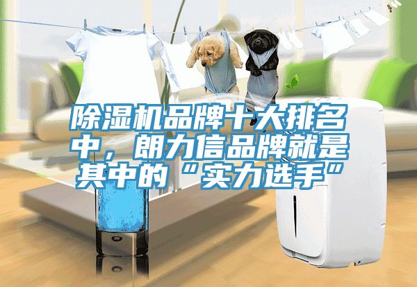 除濕機(jī)品牌十大排名中，朗力信品牌就是其中的“實(shí)力選手”