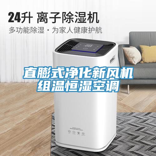 直膨式凈化新風機組溫恒濕空調(diào)