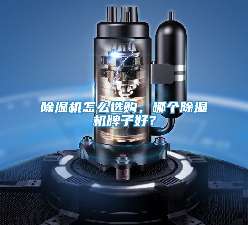 除濕機怎么選購，哪個除濕機牌子好？