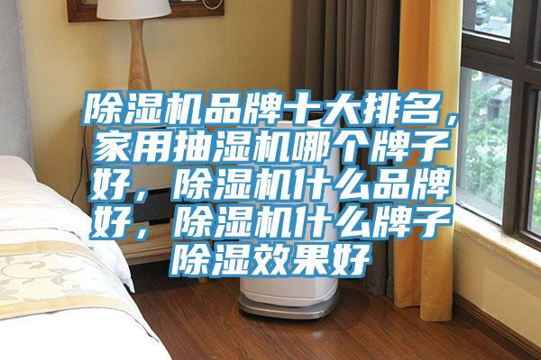 除濕機品牌十大排名，家用抽濕機哪個牌子好，除濕機什么品牌好，除濕機什么牌子除濕效果好