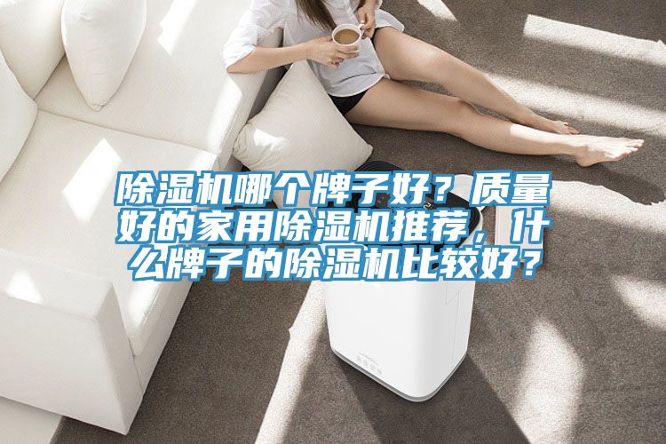 除濕機(jī)哪個(gè)牌子好？質(zhì)量好的家用除濕機(jī)推薦，什么牌子的除濕機(jī)比較好？