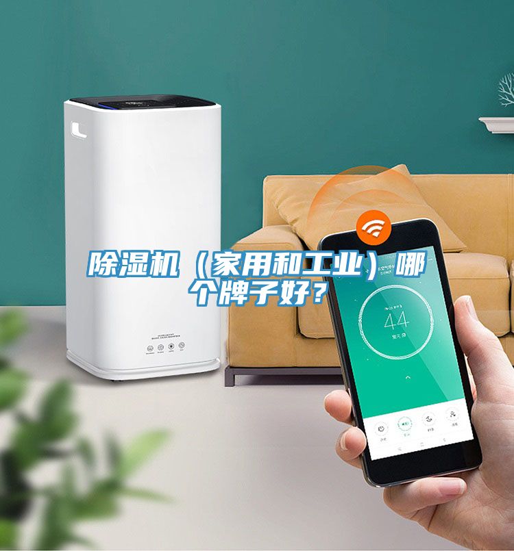 除濕機(jī)（家用和工業(yè)）哪個(gè)牌子好？