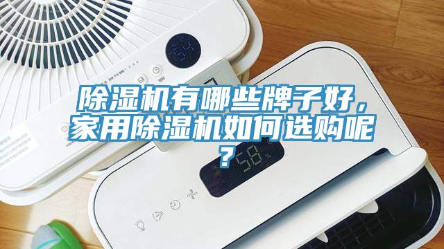 除濕機有哪些牌子好，家用除濕機如何選購呢？