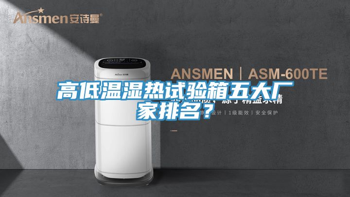 高低溫濕熱試驗(yàn)箱五大廠家排名？