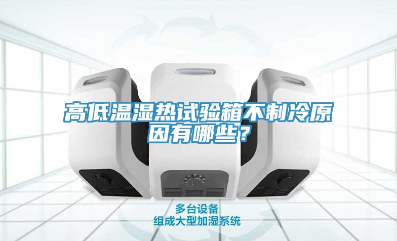 高低溫濕熱試驗(yàn)箱不制冷原因有哪些？
