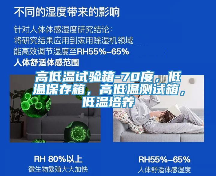 高低溫試驗(yàn)箱-70度，低溫保存箱，高低溫測(cè)試箱，低溫培養(yǎng)