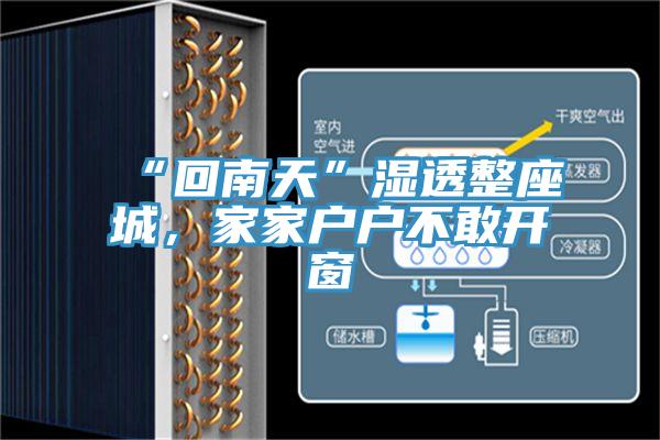 “回南天”濕透整座城，家家戶戶不敢開窗