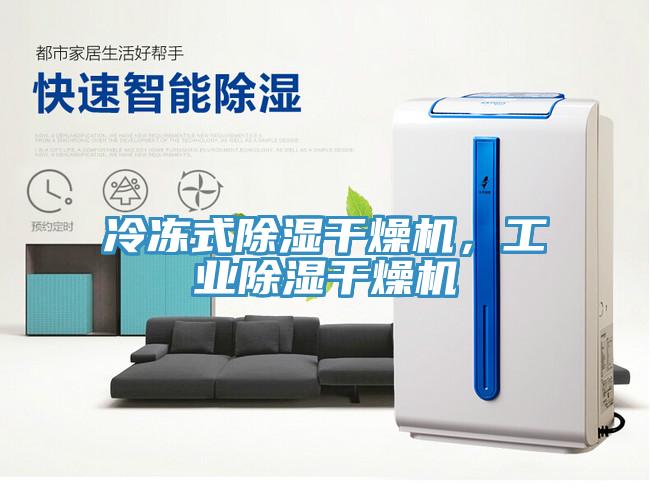 冷凍式除濕干燥機(jī)，工業(yè)除濕干燥機(jī)