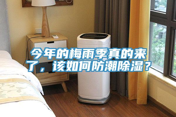 今年的梅雨季真的來了，該如何防潮除濕？
